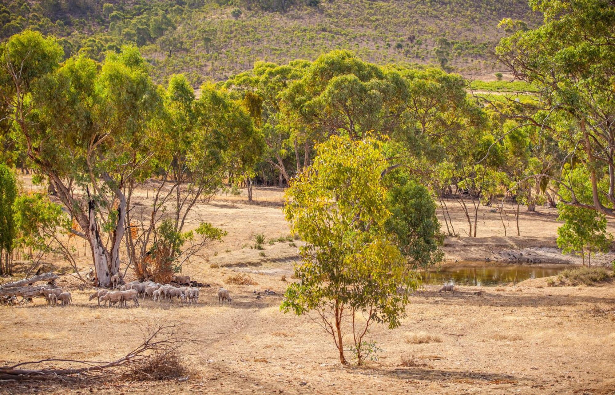 Neagles Retreat Villas Clare Quarto foto